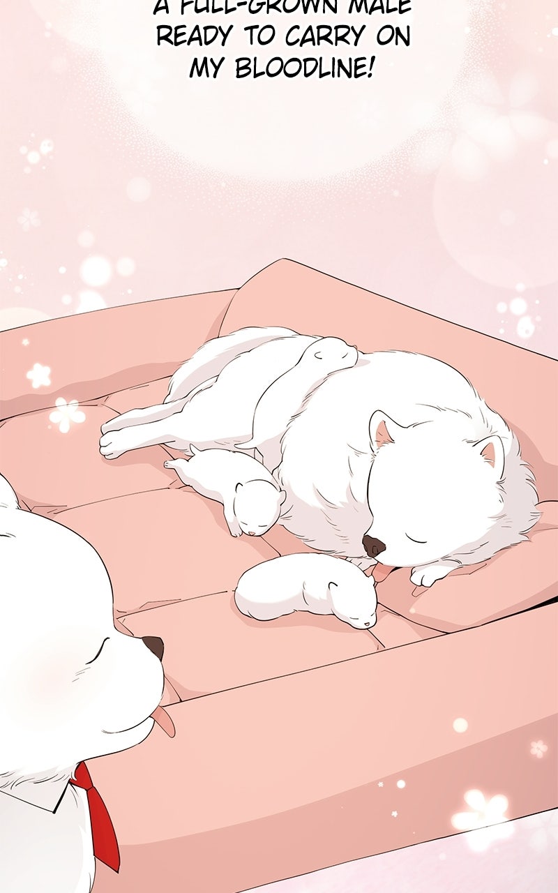 Read Night Shift in AnotherWorld chapter 15 image 23 on Lezhin
