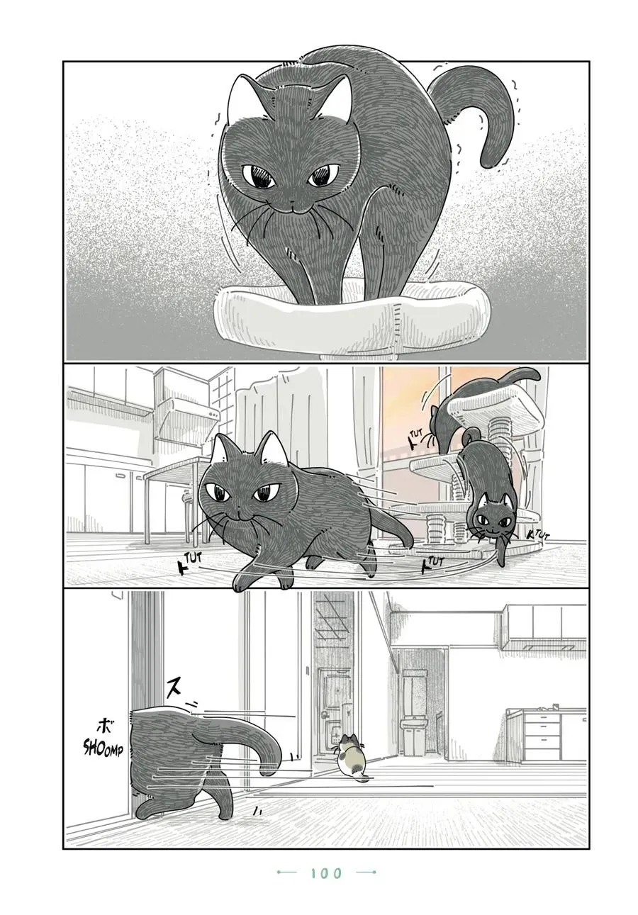 Read Nights With a Cat chapter 0 image 100 on Lezhin