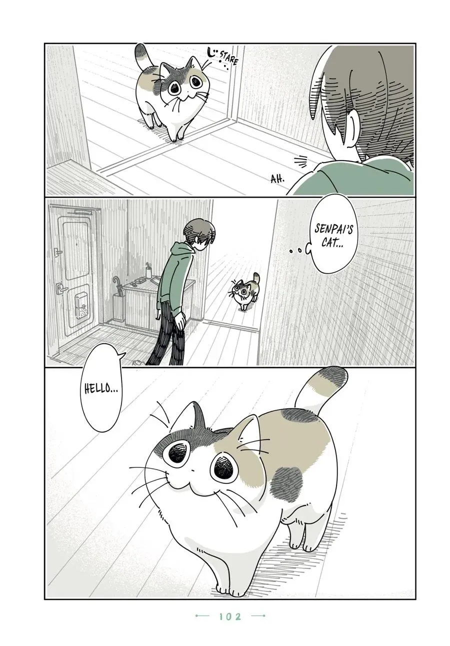 Read Nights With a Cat chapter 0 image 102 on Lezhin