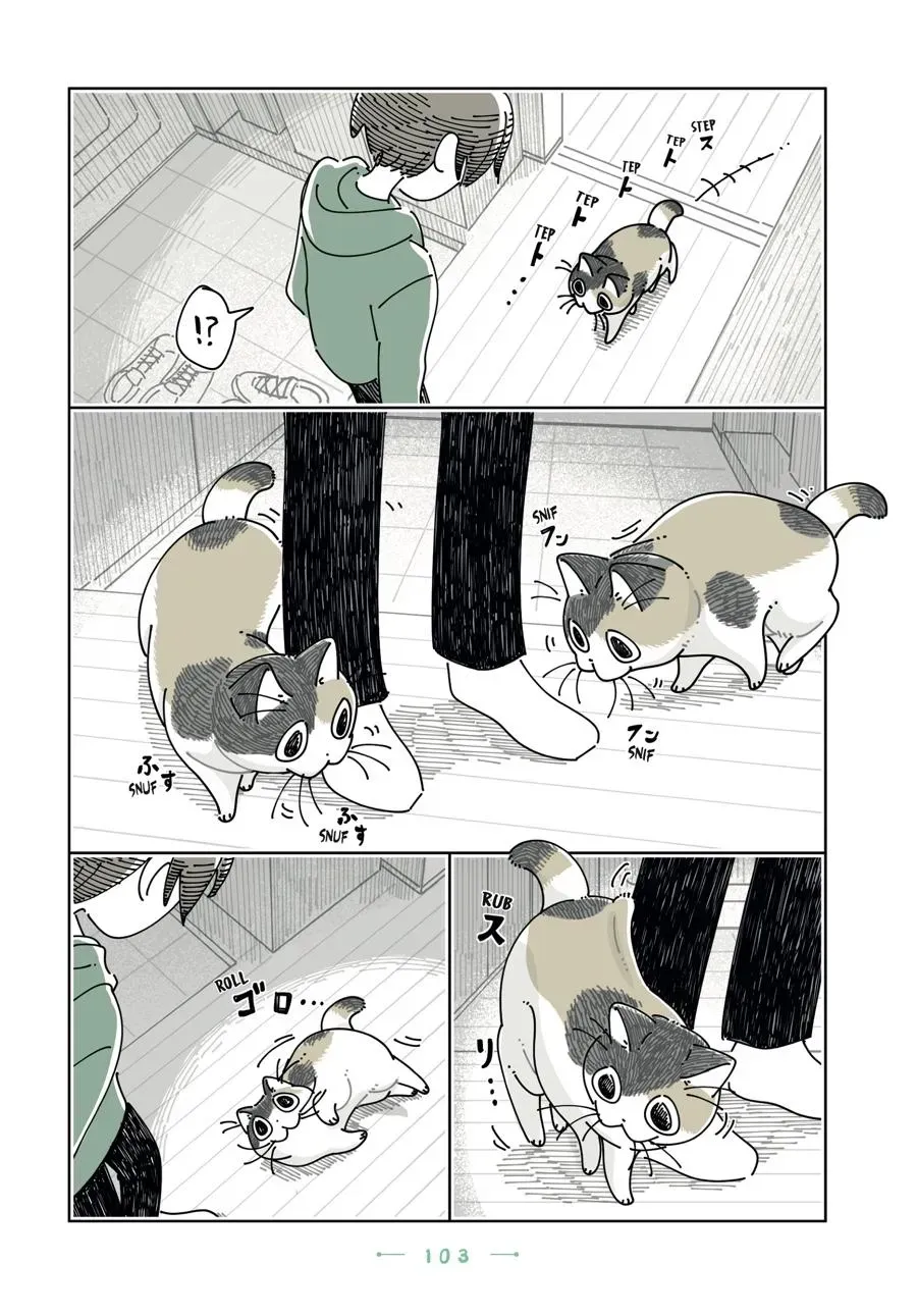 Read Nights With a Cat chapter 0 image 103 on Lezhin