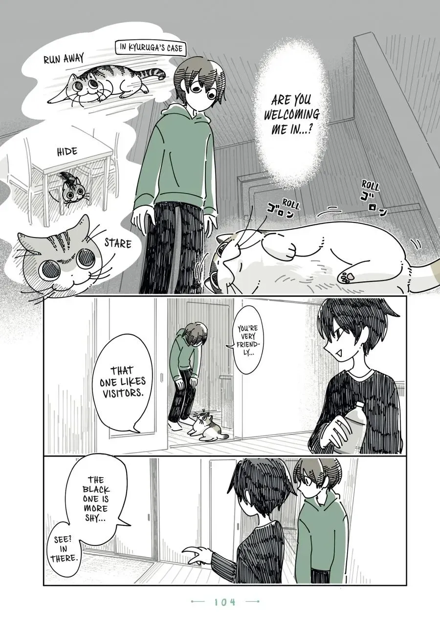 Read Nights With a Cat chapter 0 image 104 on Lezhin