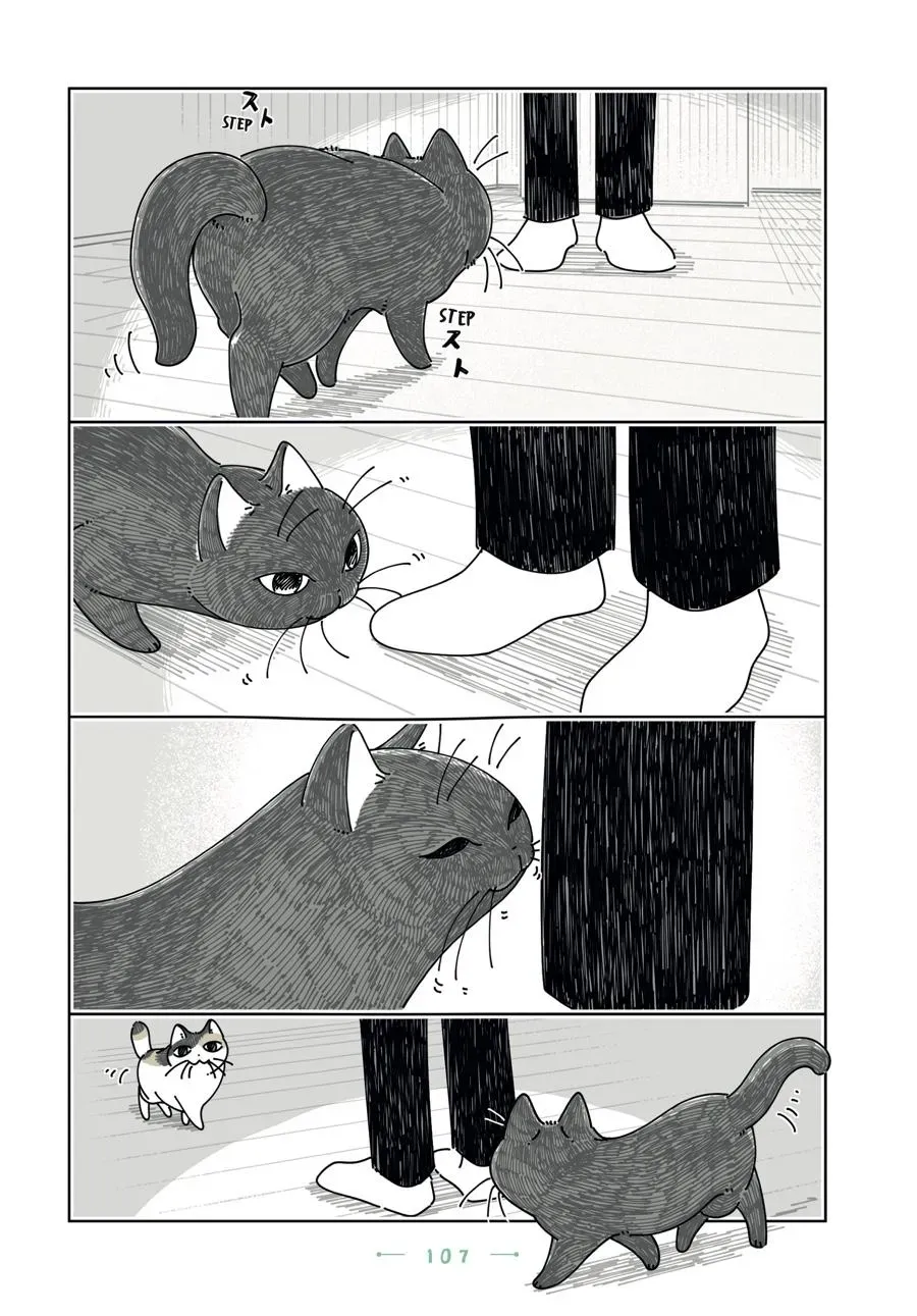 Read Nights With a Cat chapter 0 image 107 on Lezhin
