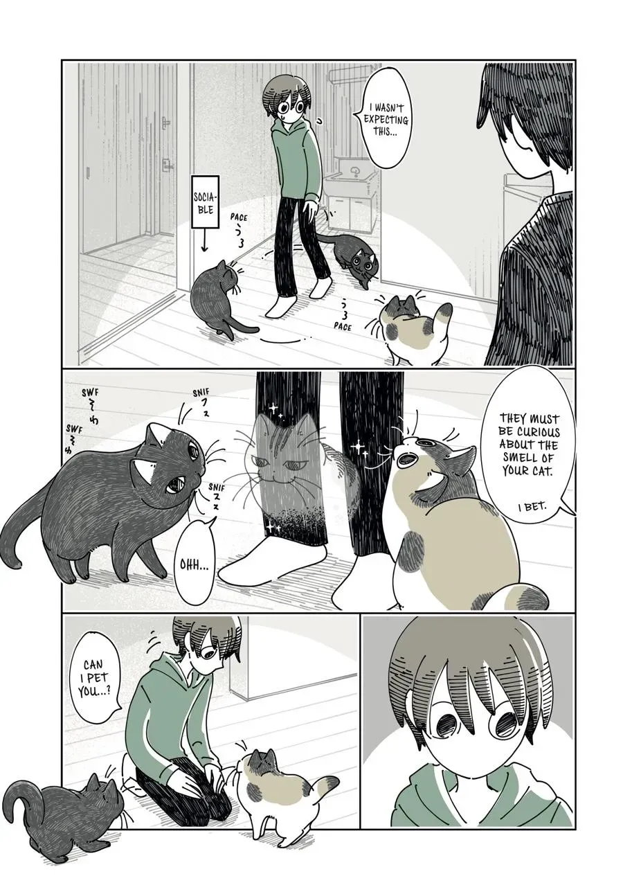 Read Nights With a Cat chapter 0 image 108 on Lezhin