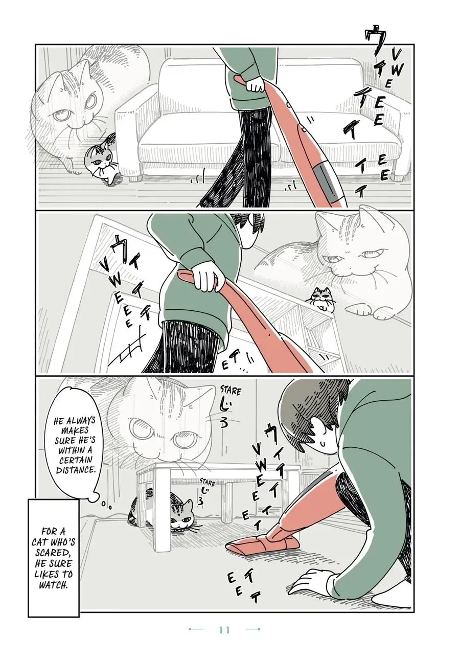 Read Nights With a Cat chapter 0 image 11 on Lezhin