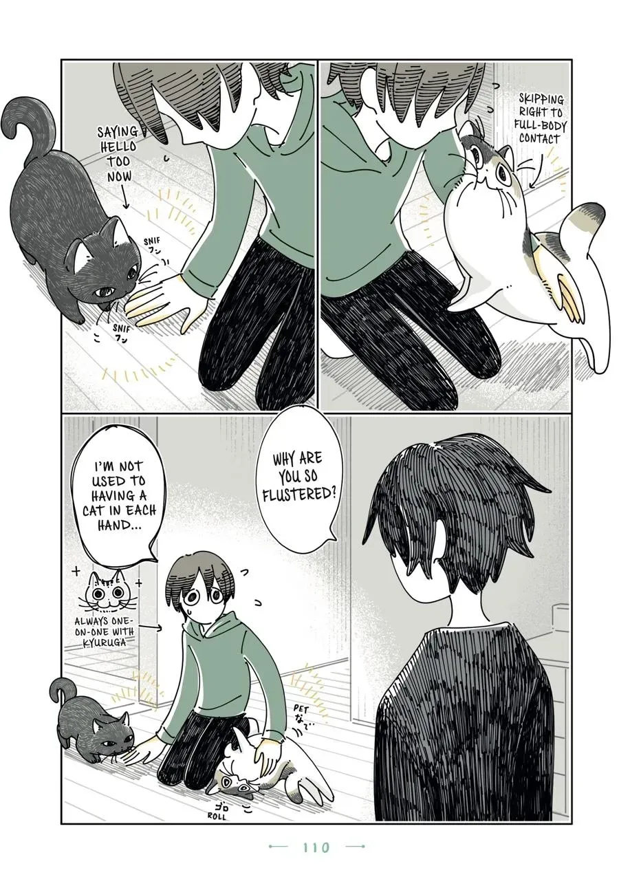 Read Nights With a Cat chapter 0 image 110 on Lezhin