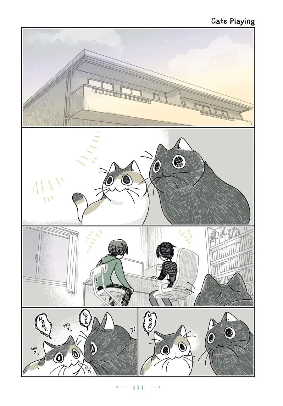 Read Nights With a Cat chapter 0 image 111 on Lezhin