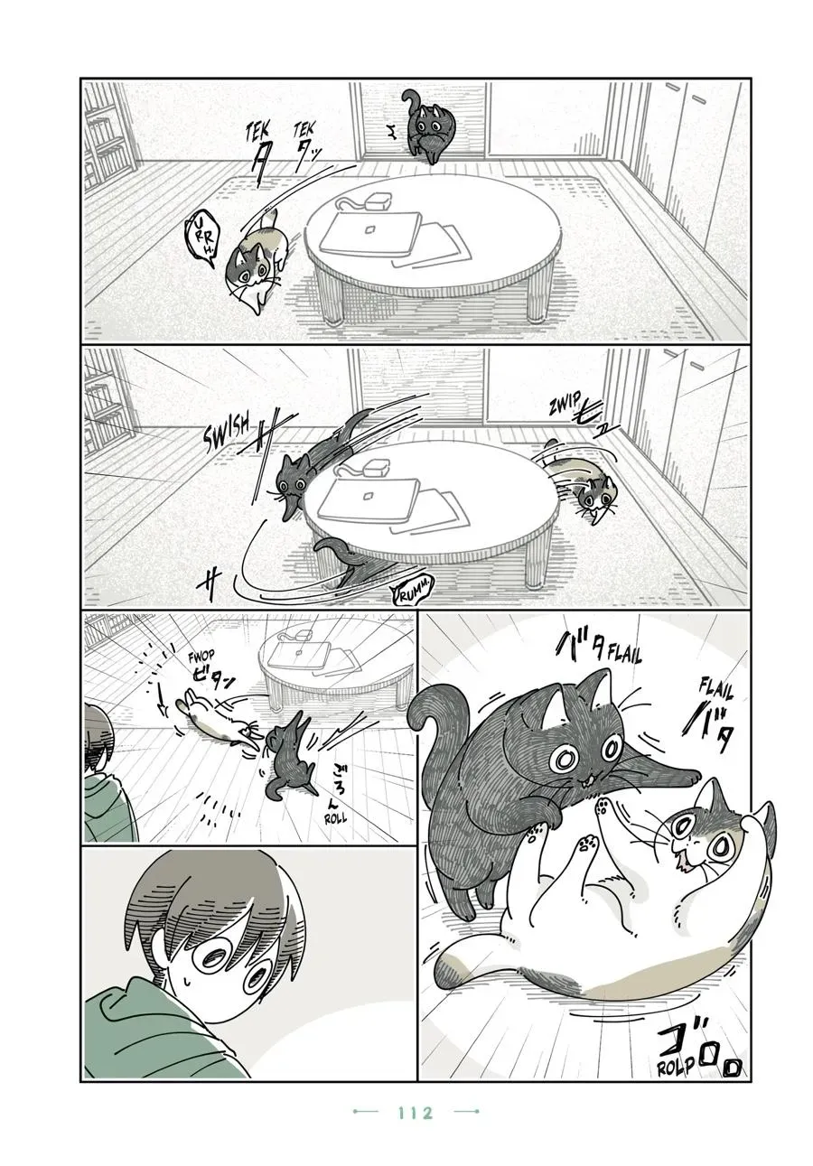 Read Nights With a Cat chapter 0 image 112 on Lezhin