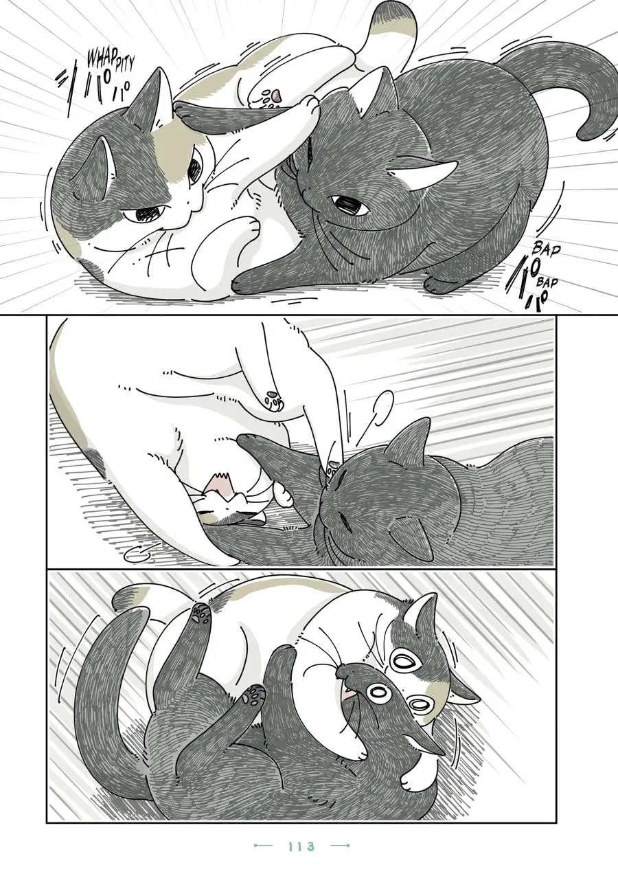 Read Nights With a Cat chapter 0 image 113 on Lezhin