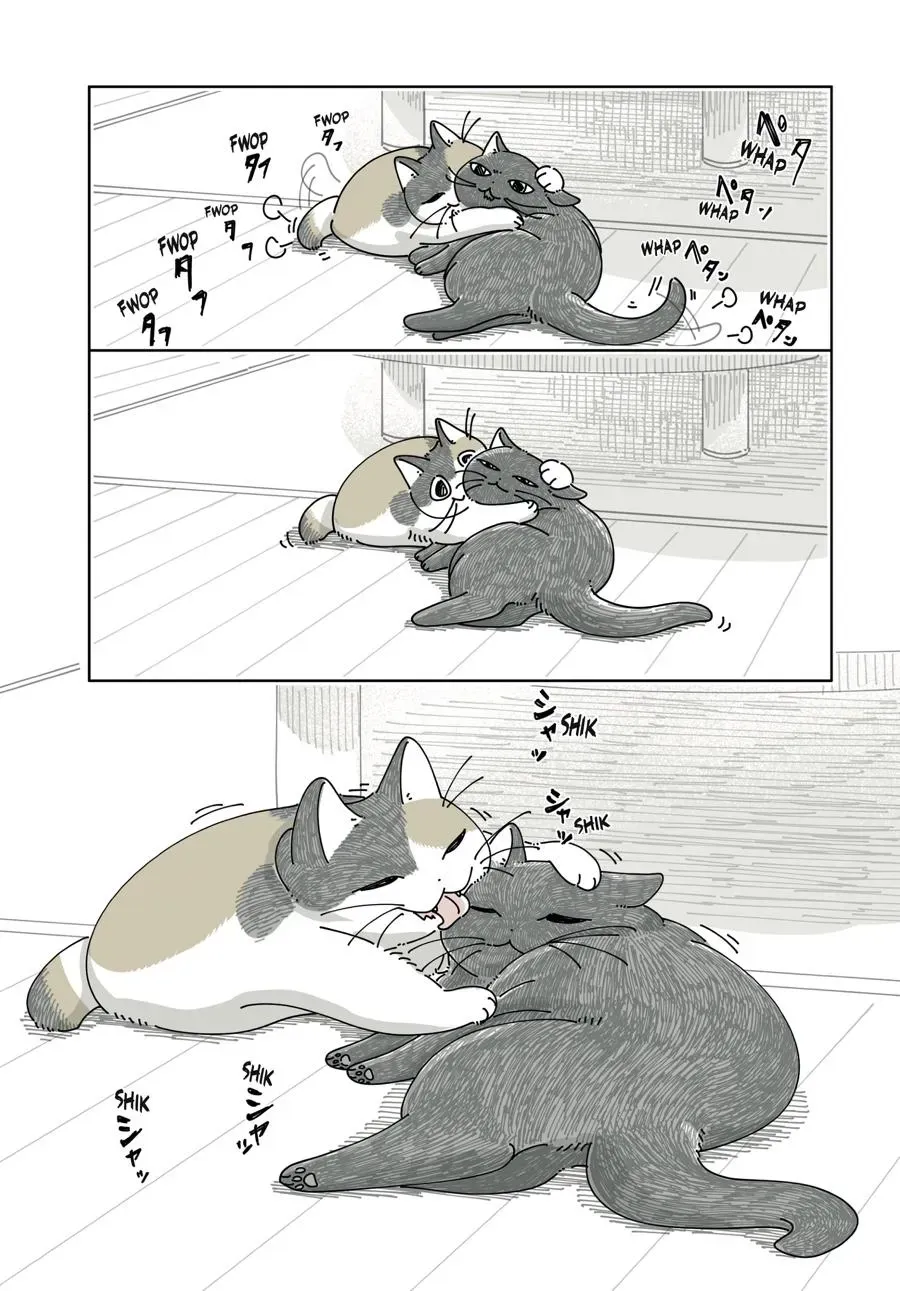 Read Nights With a Cat chapter 0 image 114 on Lezhin
