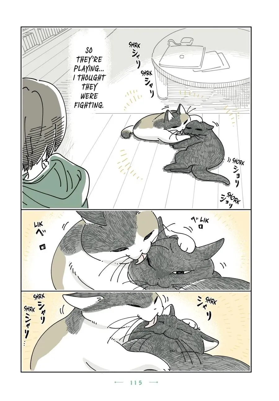 Read Nights With a Cat chapter 0 image 115 on Lezhin