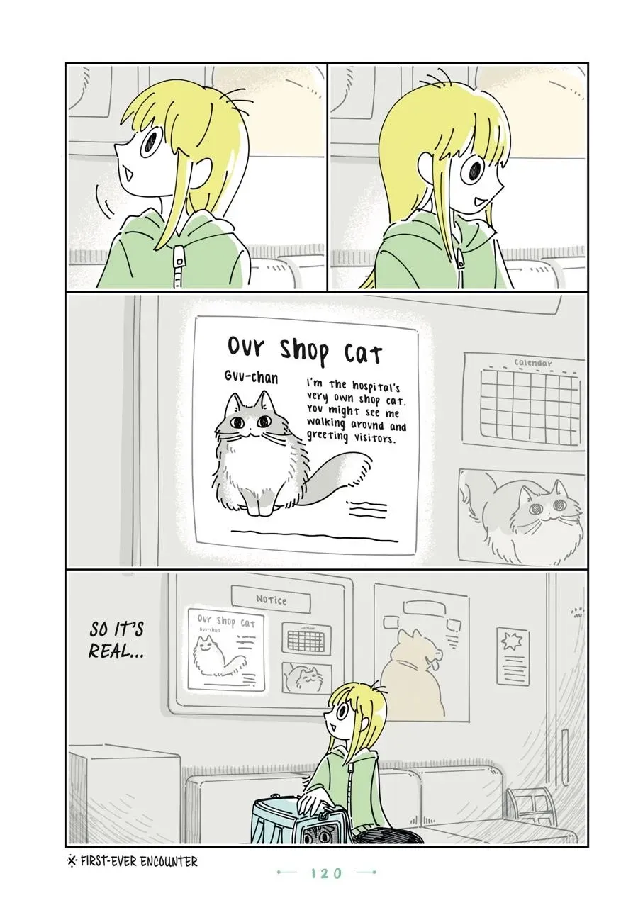 Read Nights With a Cat chapter 0 image 120 on Lezhin