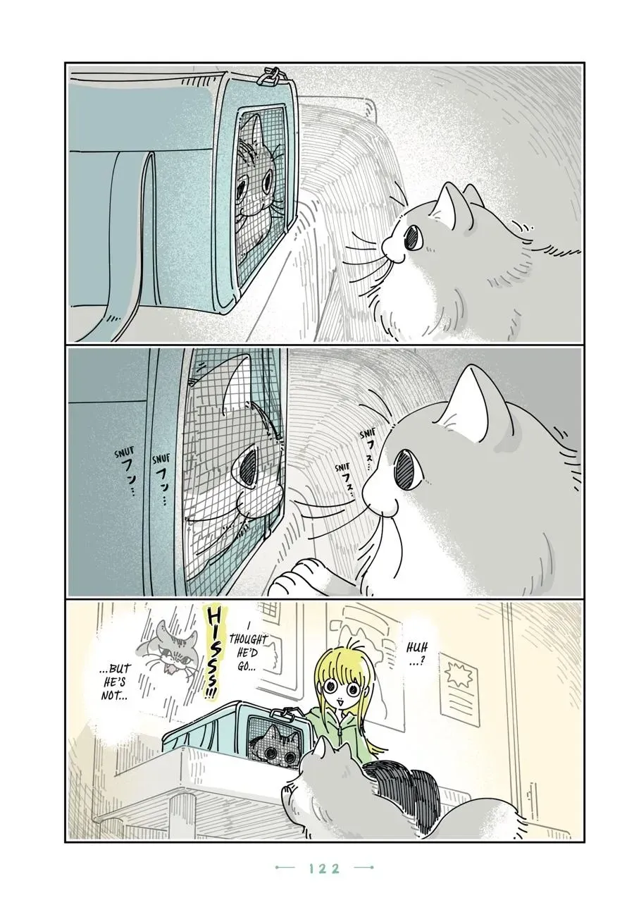Read Nights With a Cat chapter 0 image 122 on Lezhin