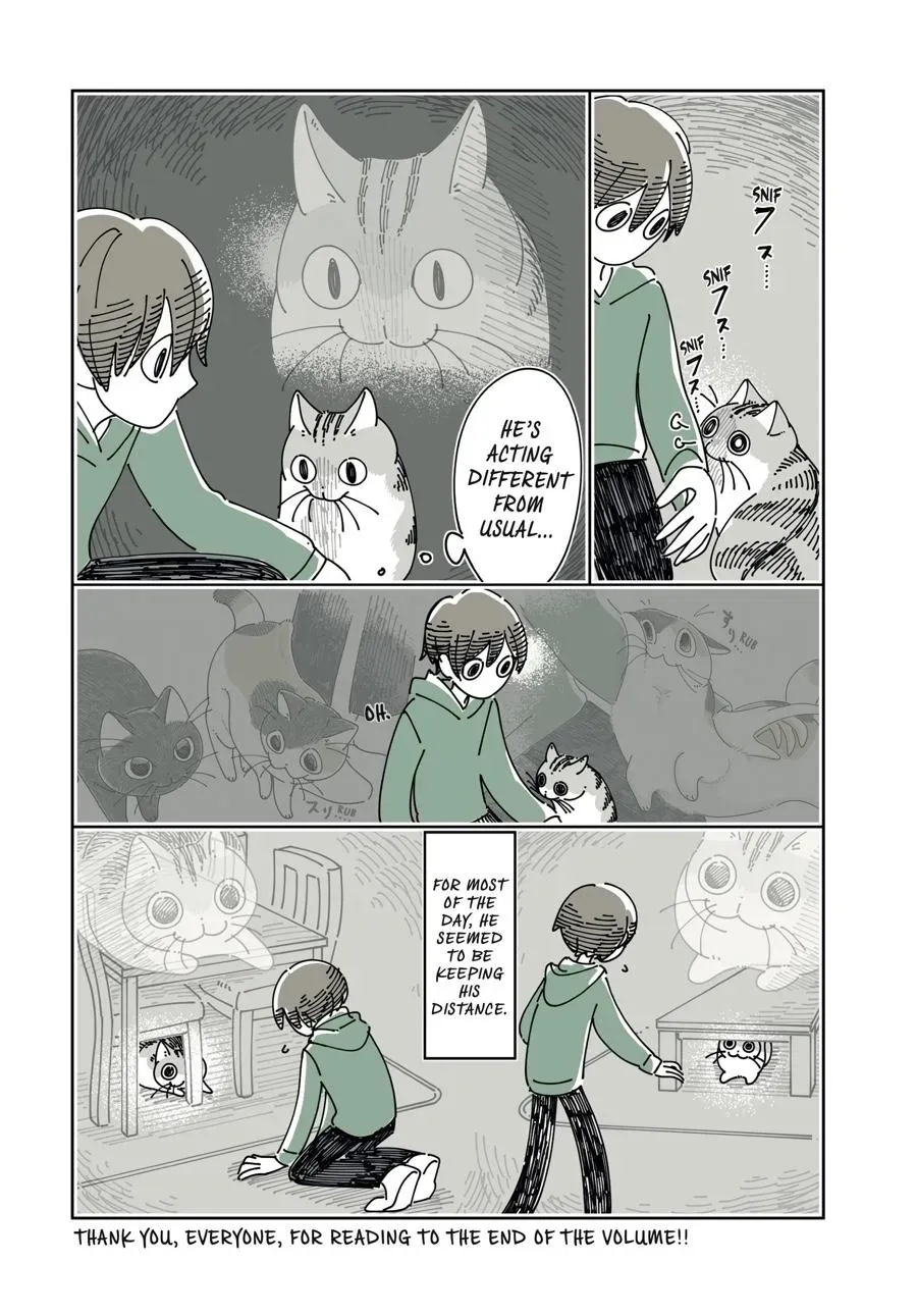 Read Nights With a Cat chapter 0 image 127 on Lezhin