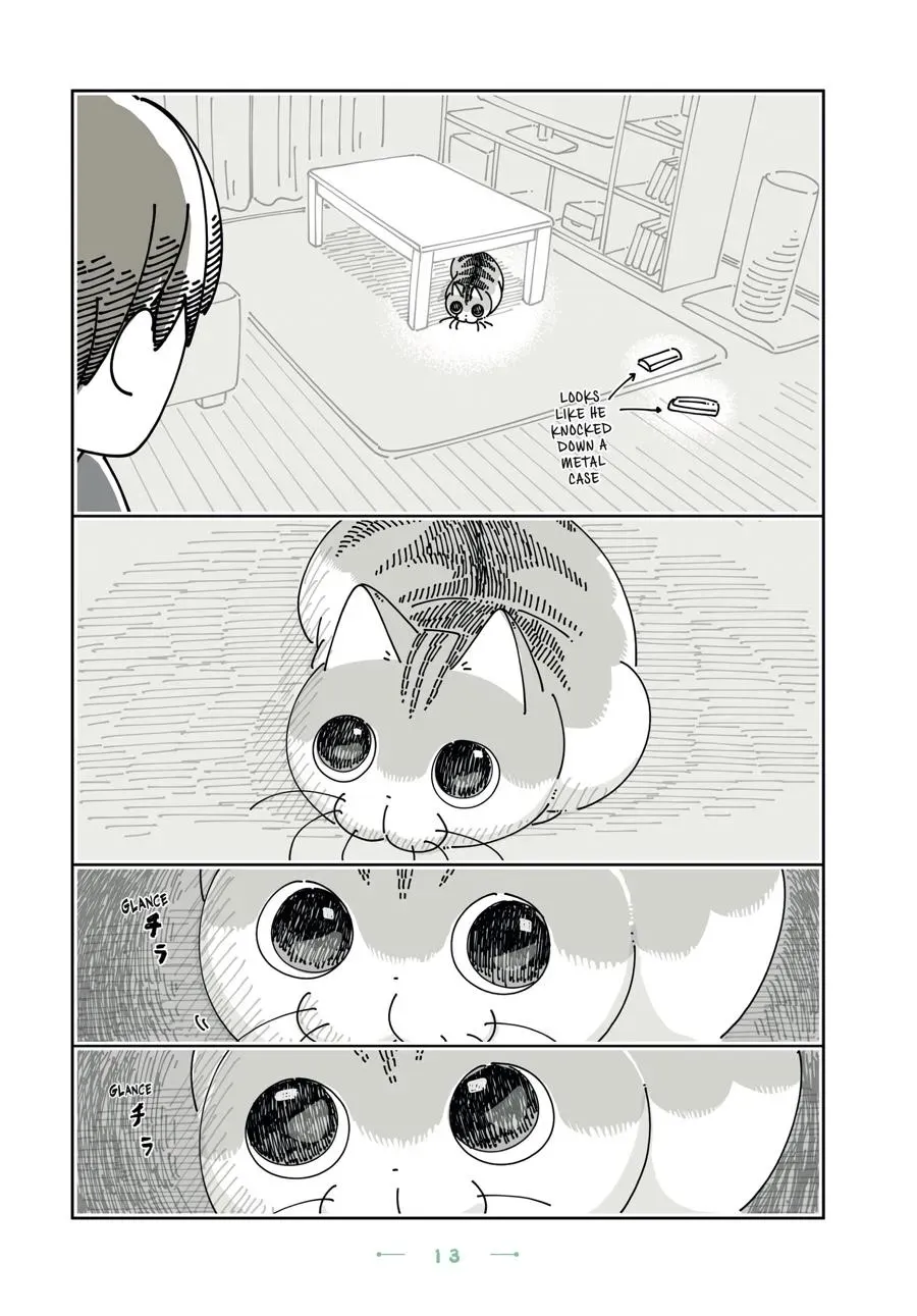 Read Nights With a Cat chapter 0 image 13 on Lezhin