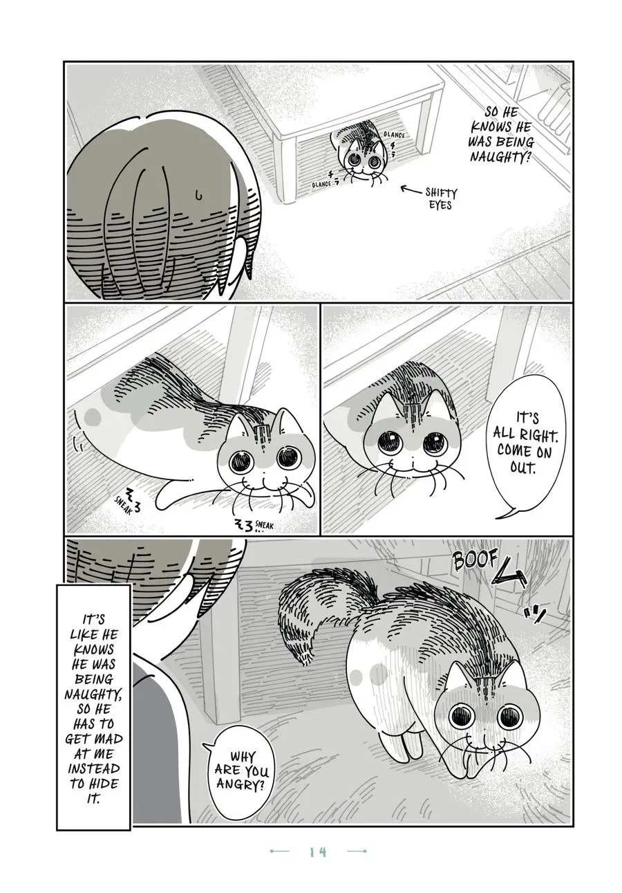 Read Nights With a Cat chapter 0 image 14 on Lezhin