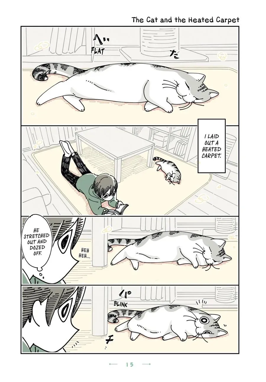 Read Nights With a Cat chapter 0 image 15 on Lezhin