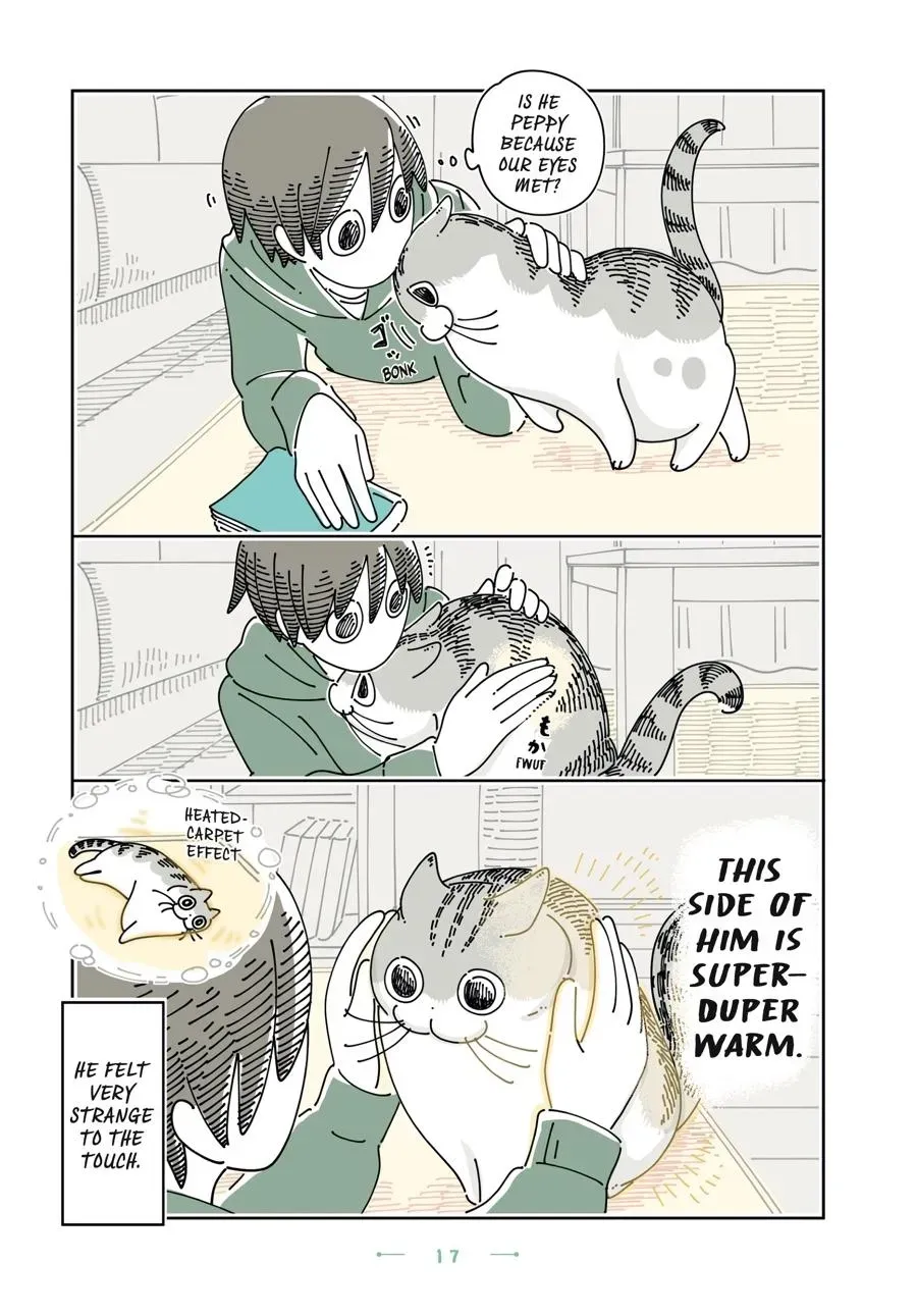 Read Nights With a Cat chapter 0 image 17 on Lezhin