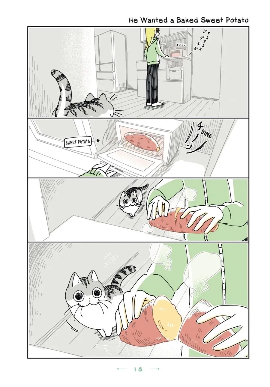 Read Nights With a Cat chapter 0 image 18 on Lezhin