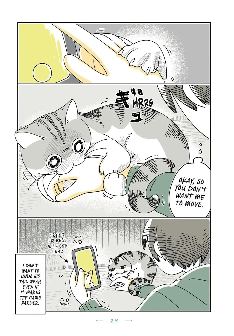 Read Nights With a Cat chapter 0 image 29 on Lezhin
