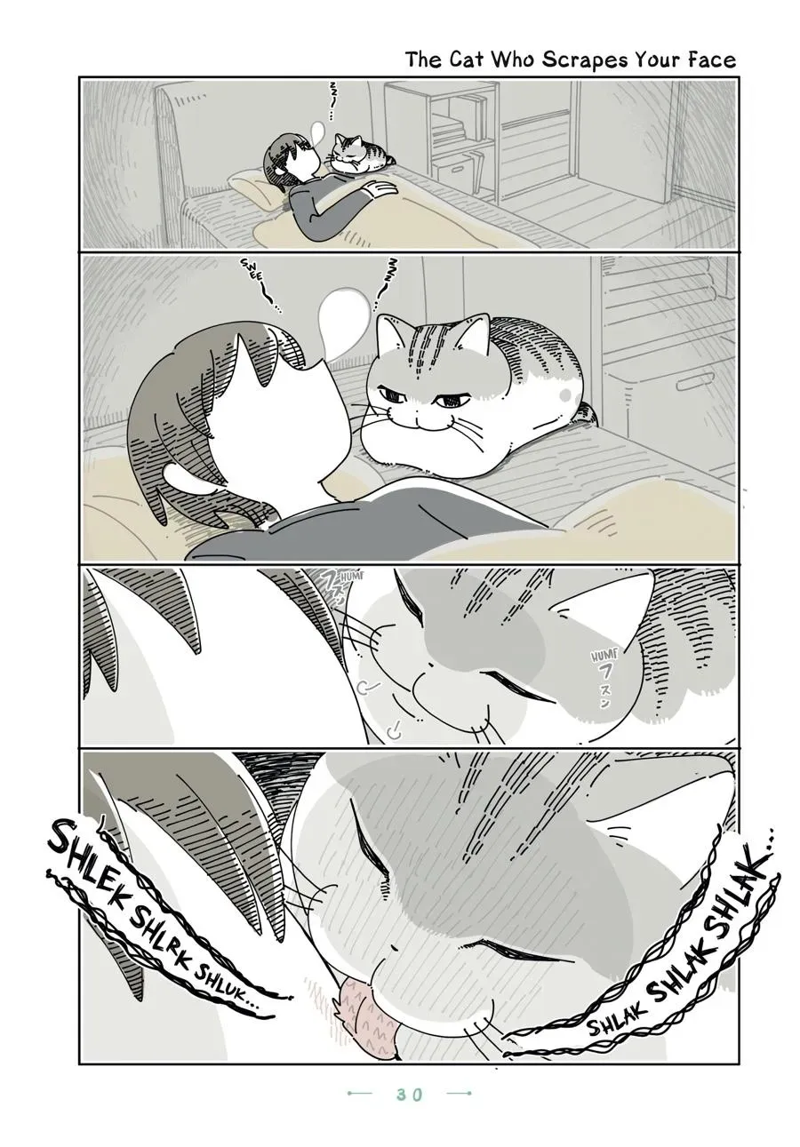 Read Nights With a Cat chapter 0 image 30 on Lezhin