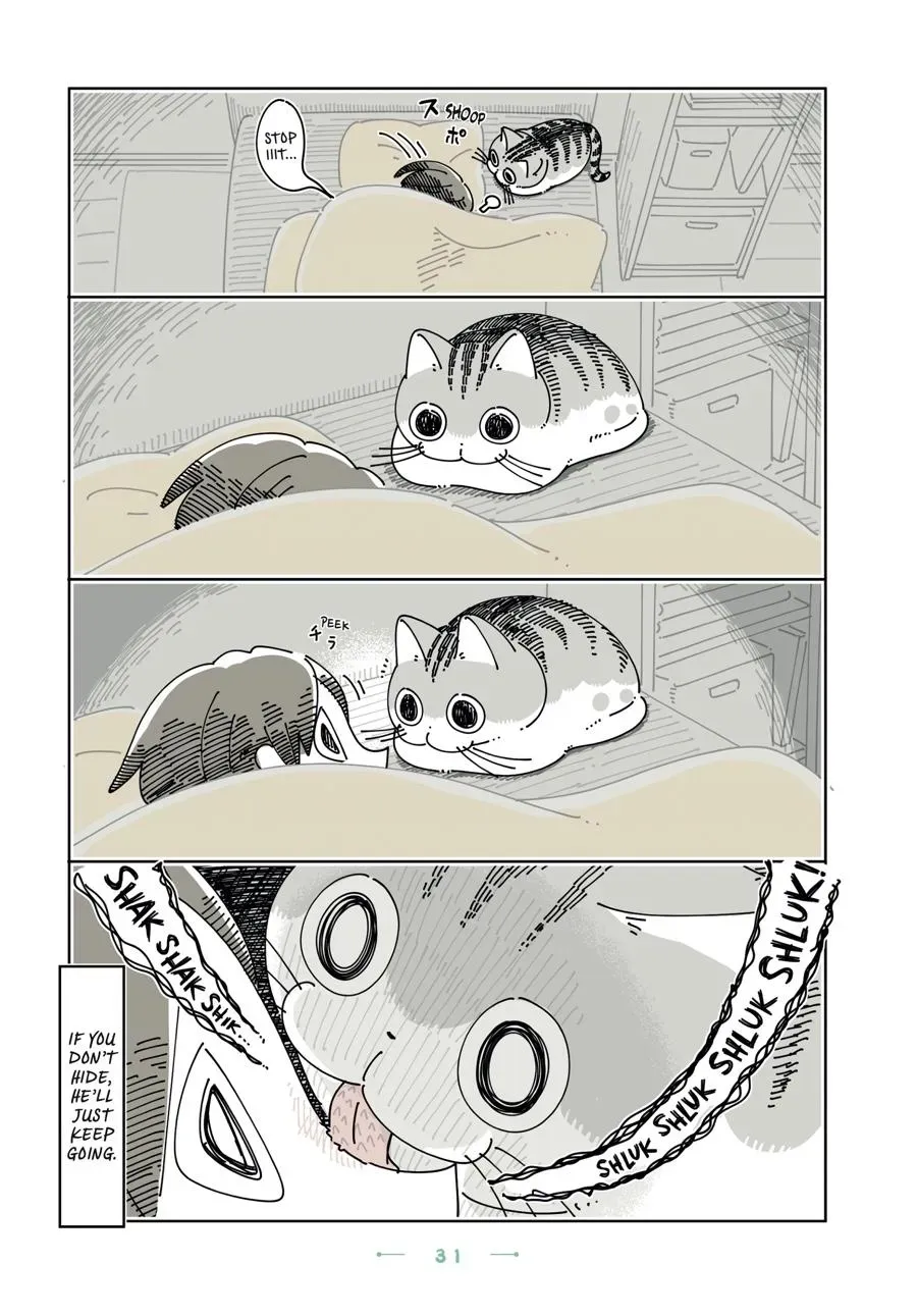 Read Nights With a Cat chapter 0 image 31 on Lezhin