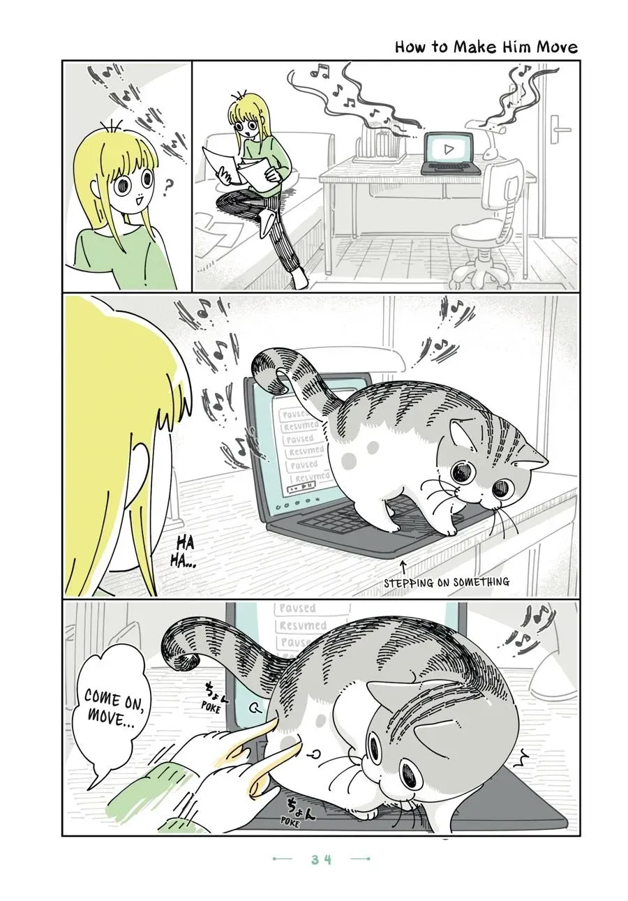 Read Nights With a Cat chapter 0 image 34 on Lezhin