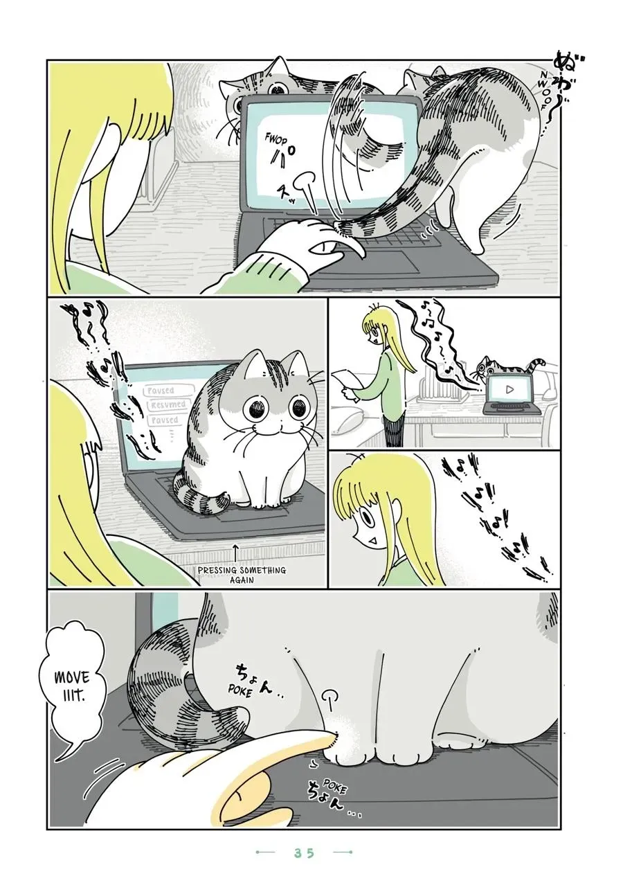 Read Nights With a Cat chapter 0 image 35 on Lezhin