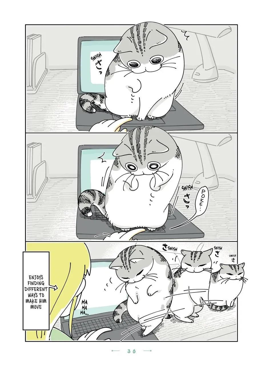 Read Nights With a Cat chapter 0 image 36 on Lezhin