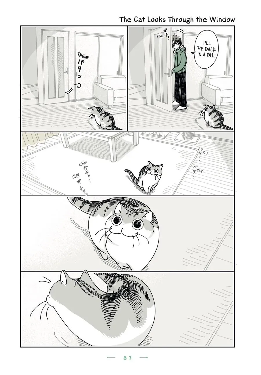 Read Nights With a Cat chapter 0 image 37 on Lezhin