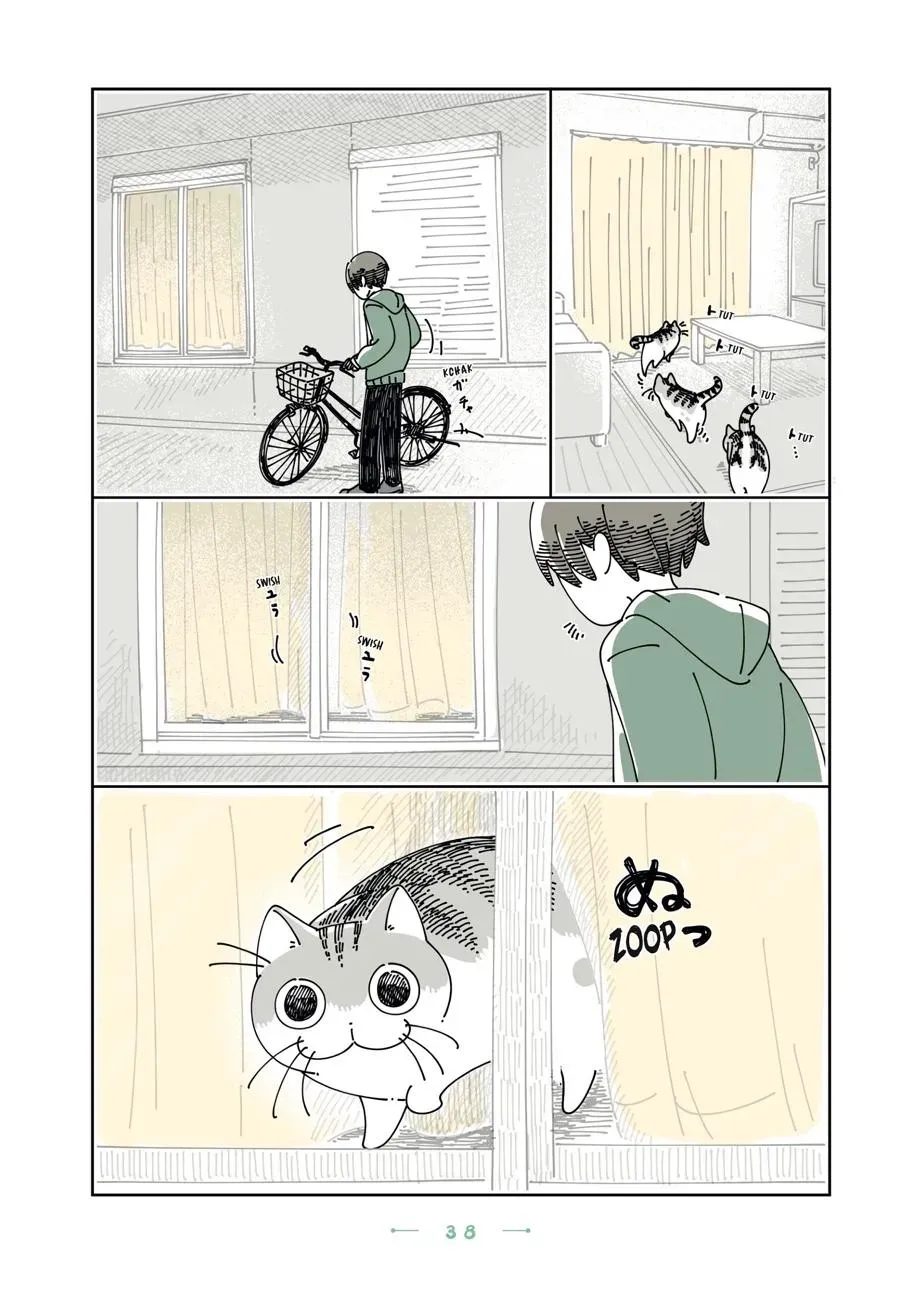 Read Nights With a Cat chapter 0 image 38 on Lezhin