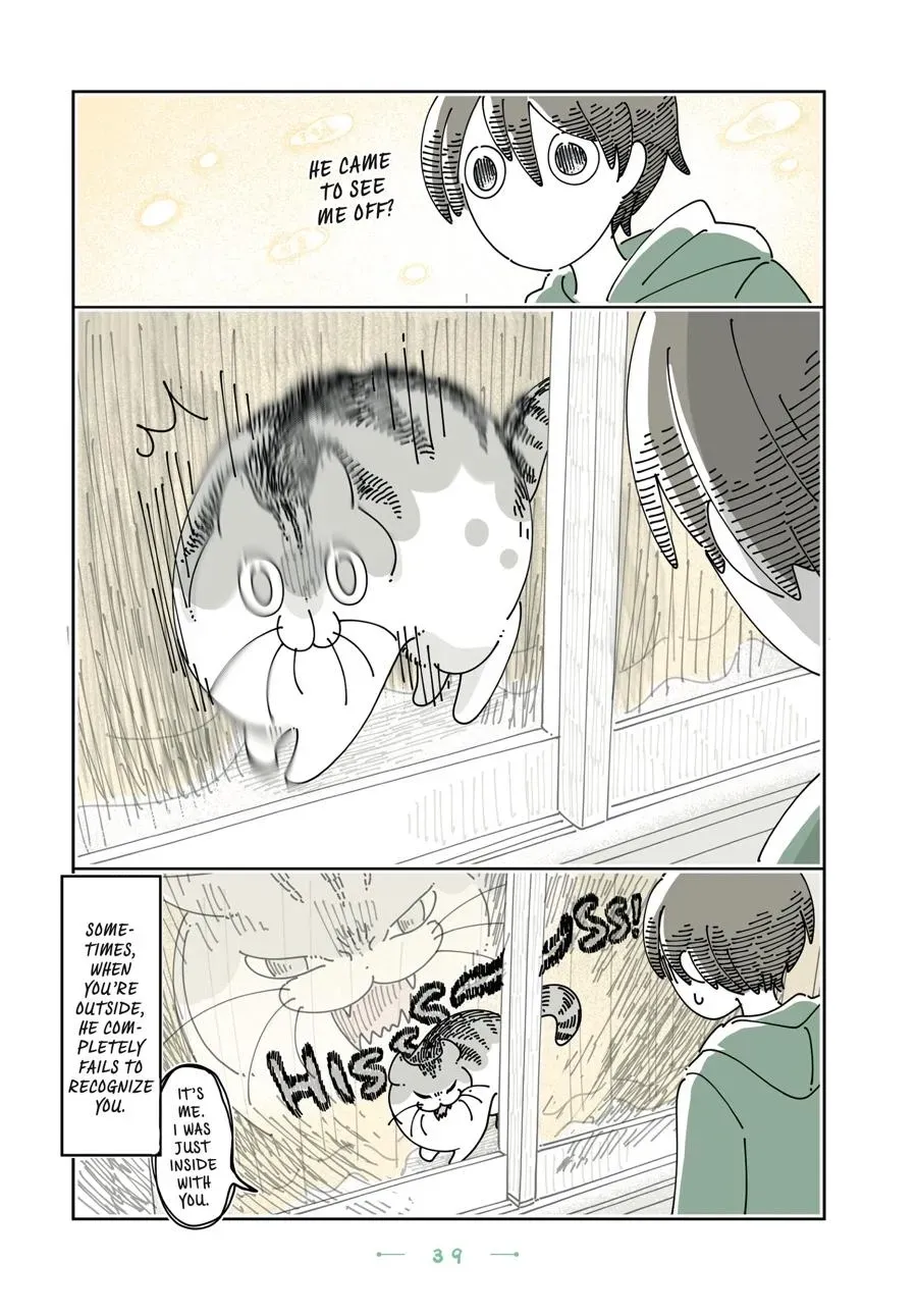 Read Nights With a Cat chapter 0 image 39 on Lezhin