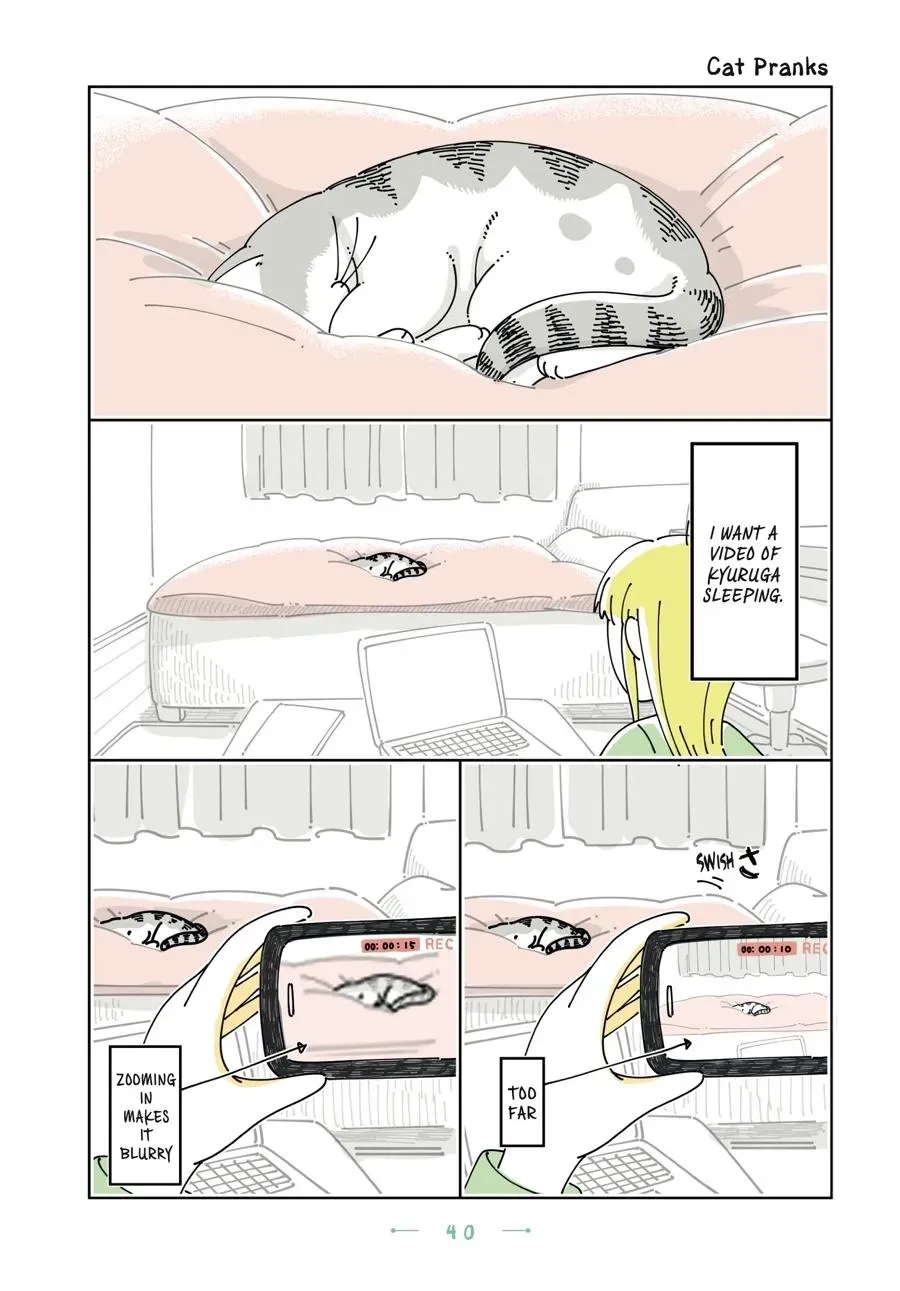 Read Nights With a Cat chapter 0 image 40 on Lezhin