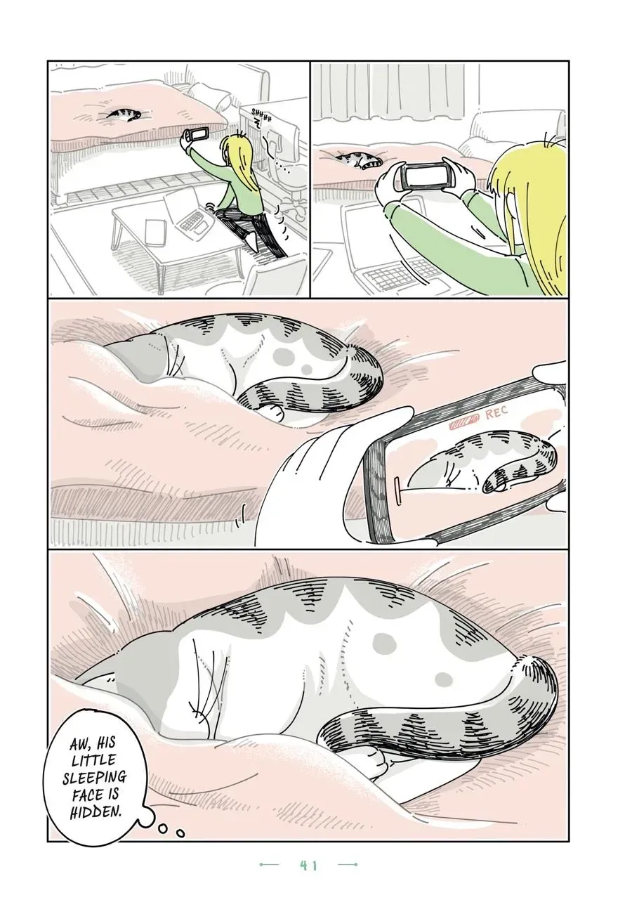 Read Nights With a Cat chapter 0 image 41 on Lezhin
