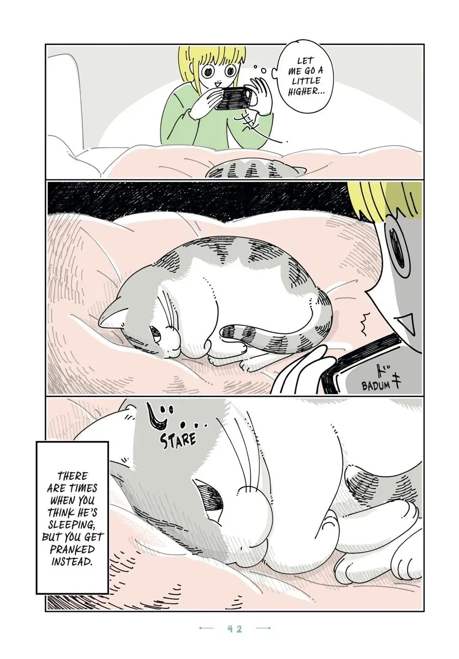Read Nights With a Cat chapter 0 image 42 on Lezhin
