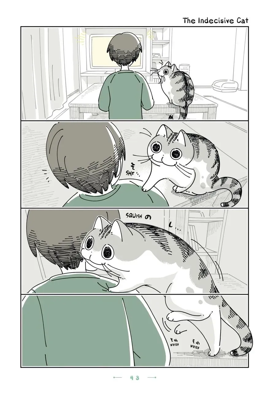 Read Nights With a Cat chapter 0 image 43 on Lezhin