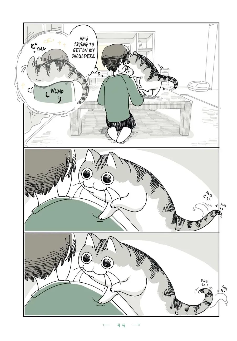 Read Nights With a Cat chapter 0 image 44 on Lezhin