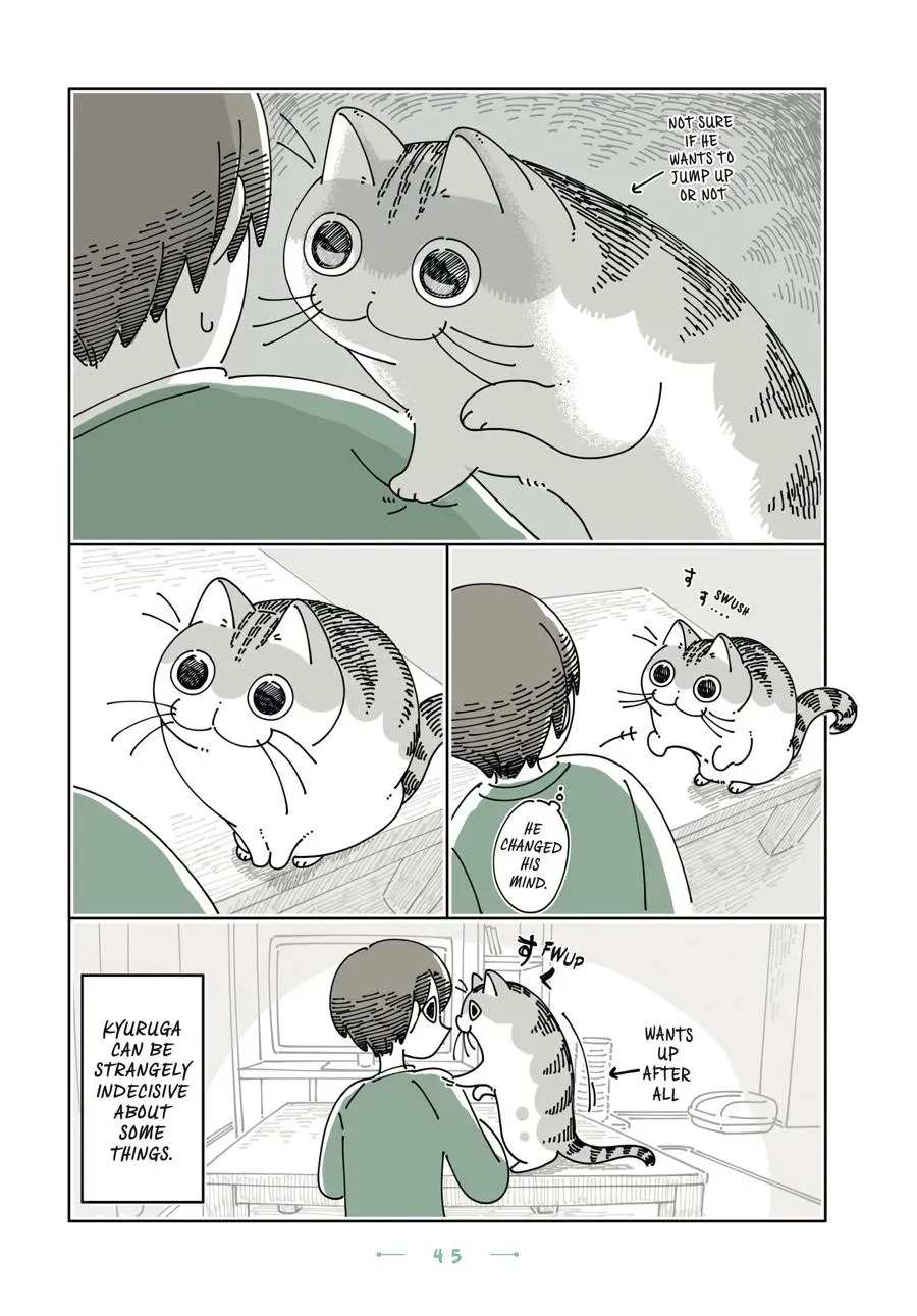 Read Nights With a Cat chapter 0 image 45 on Lezhin