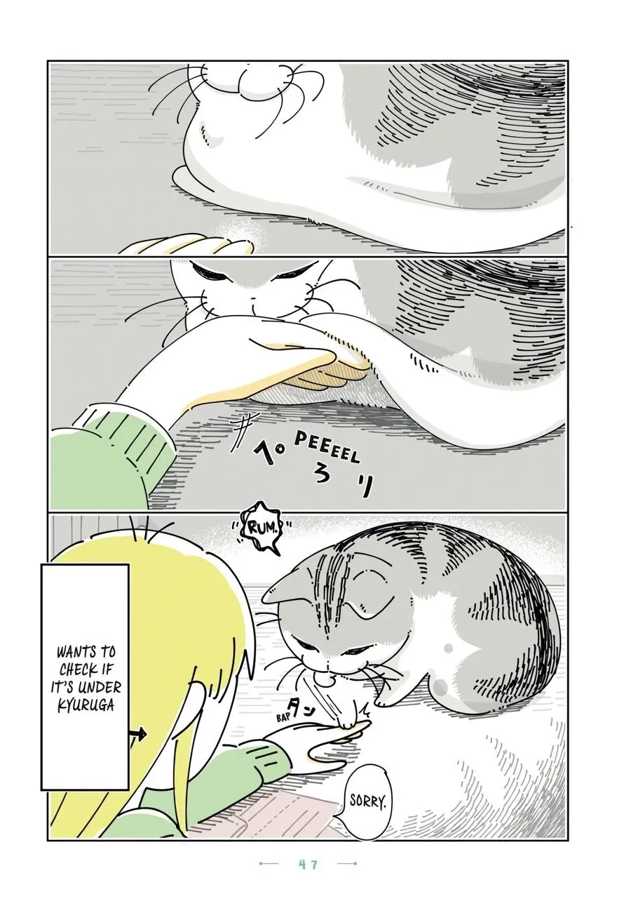 Read Nights With a Cat chapter 0 image 47 on Lezhin