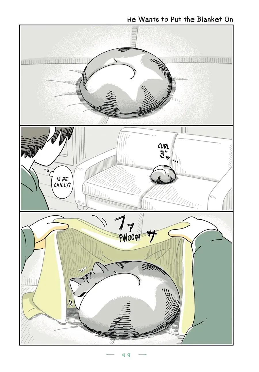 Read Nights With a Cat chapter 0 image 49 on Lezhin