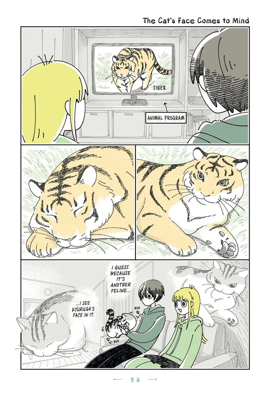 Read Nights With a Cat chapter 0 image 53 on Lezhin