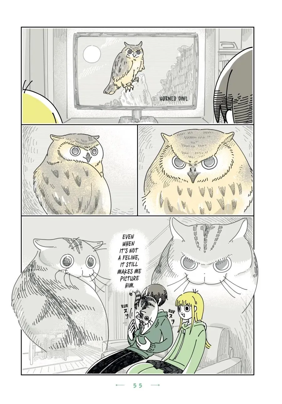 Read Nights With a Cat chapter 0 image 55 on Lezhin