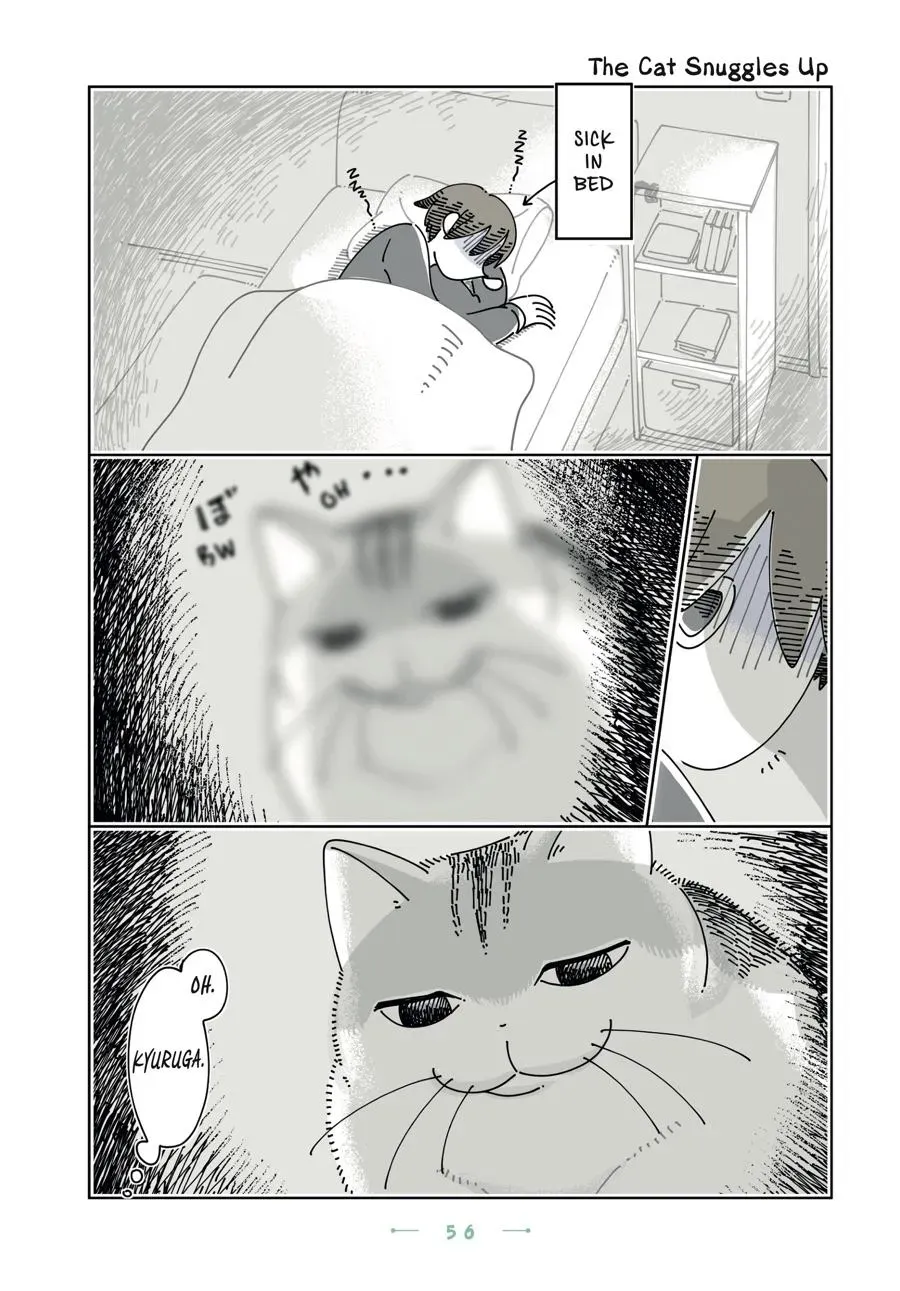 Read Nights With a Cat chapter 0 image 56 on Lezhin