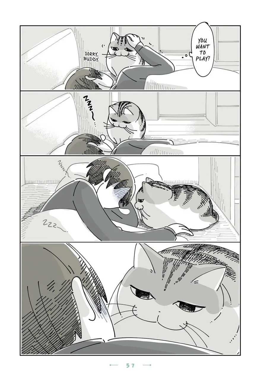 Read Nights With a Cat chapter 0 image 57 on Lezhin