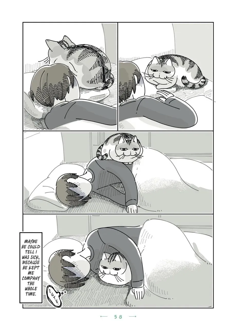 Read Nights With a Cat chapter 0 image 58 on Lezhin