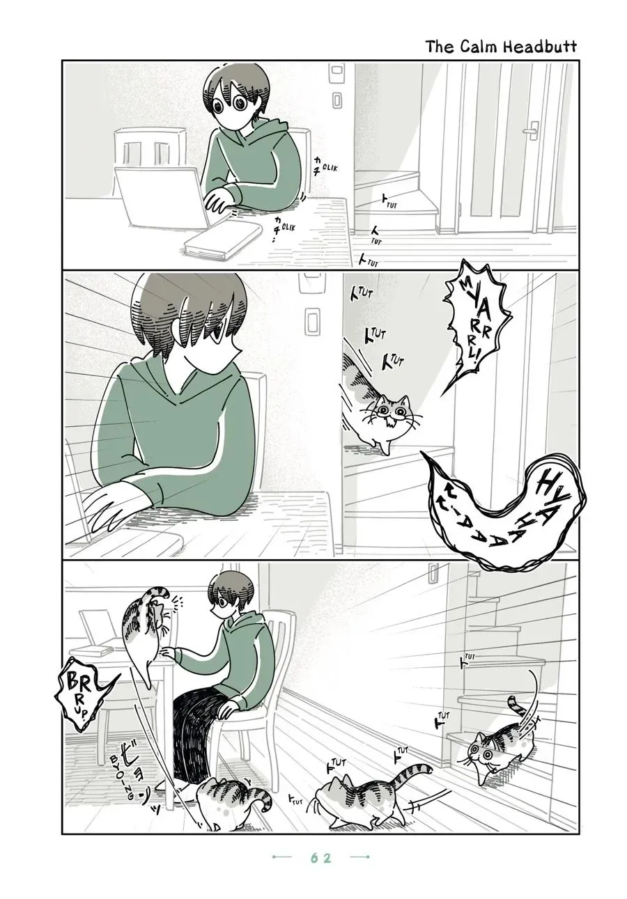 Read Nights With a Cat chapter 0 image 62 on Lezhin