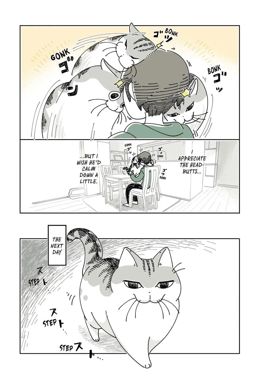 Read Nights With a Cat chapter 0 image 63 on Lezhin