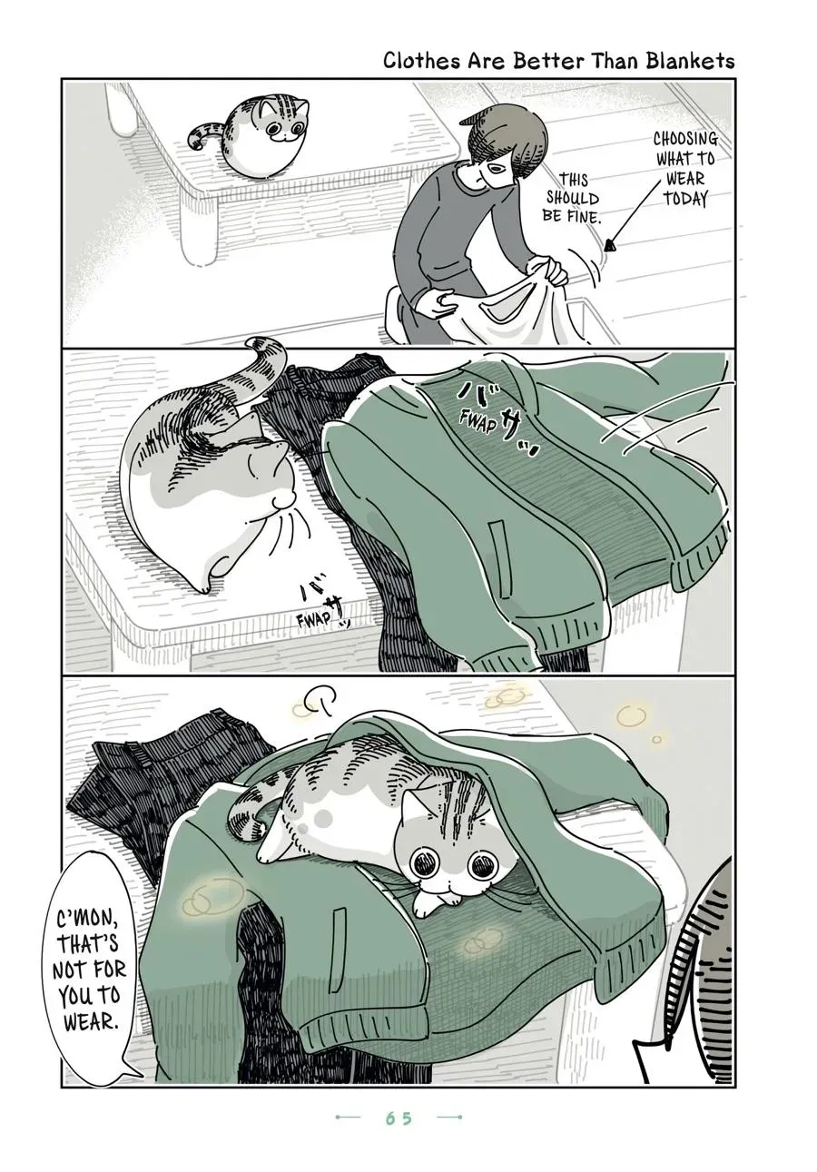Read Nights With a Cat chapter 0 image 65 on Lezhin