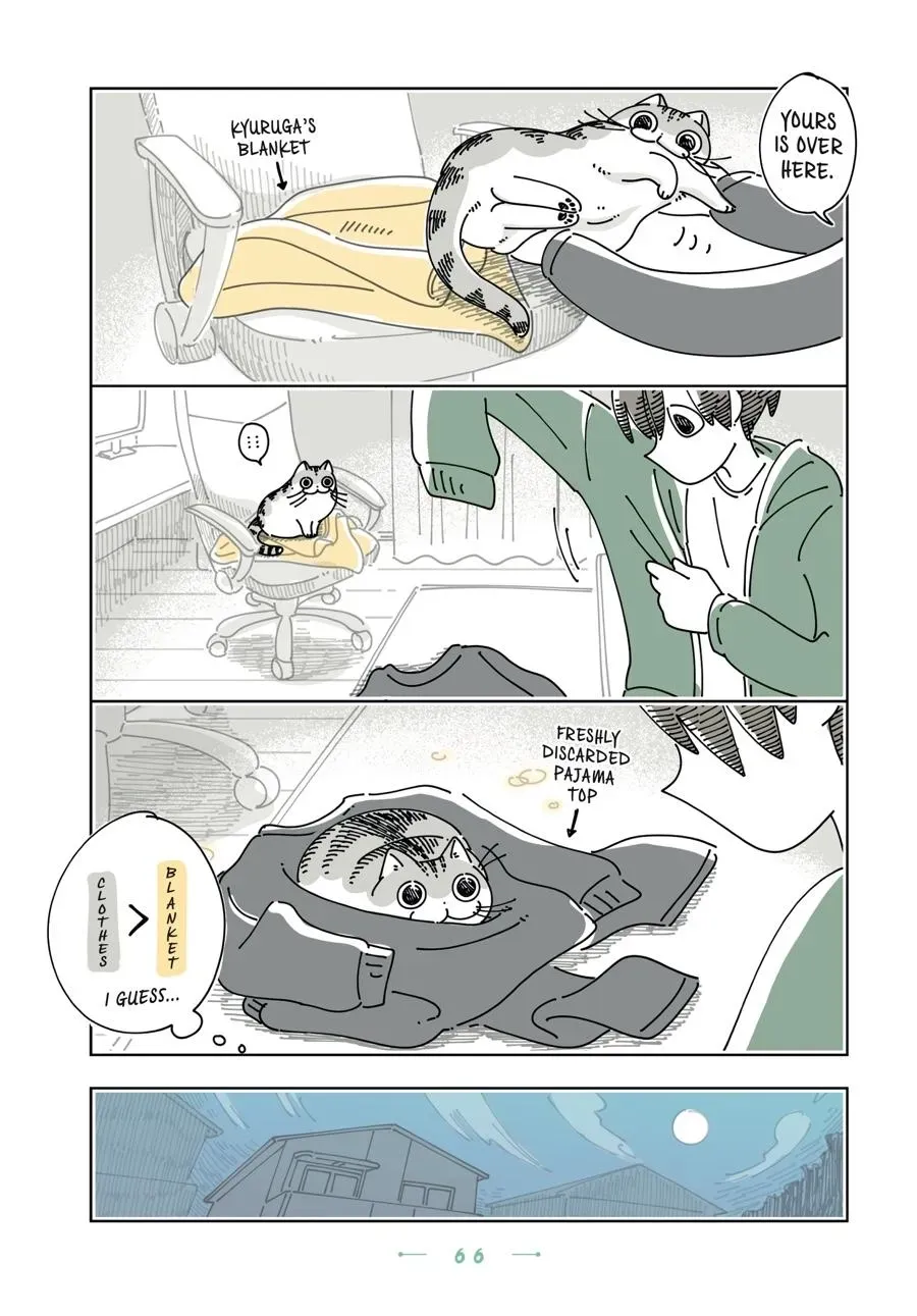 Read Nights With a Cat chapter 0 image 66 on Lezhin