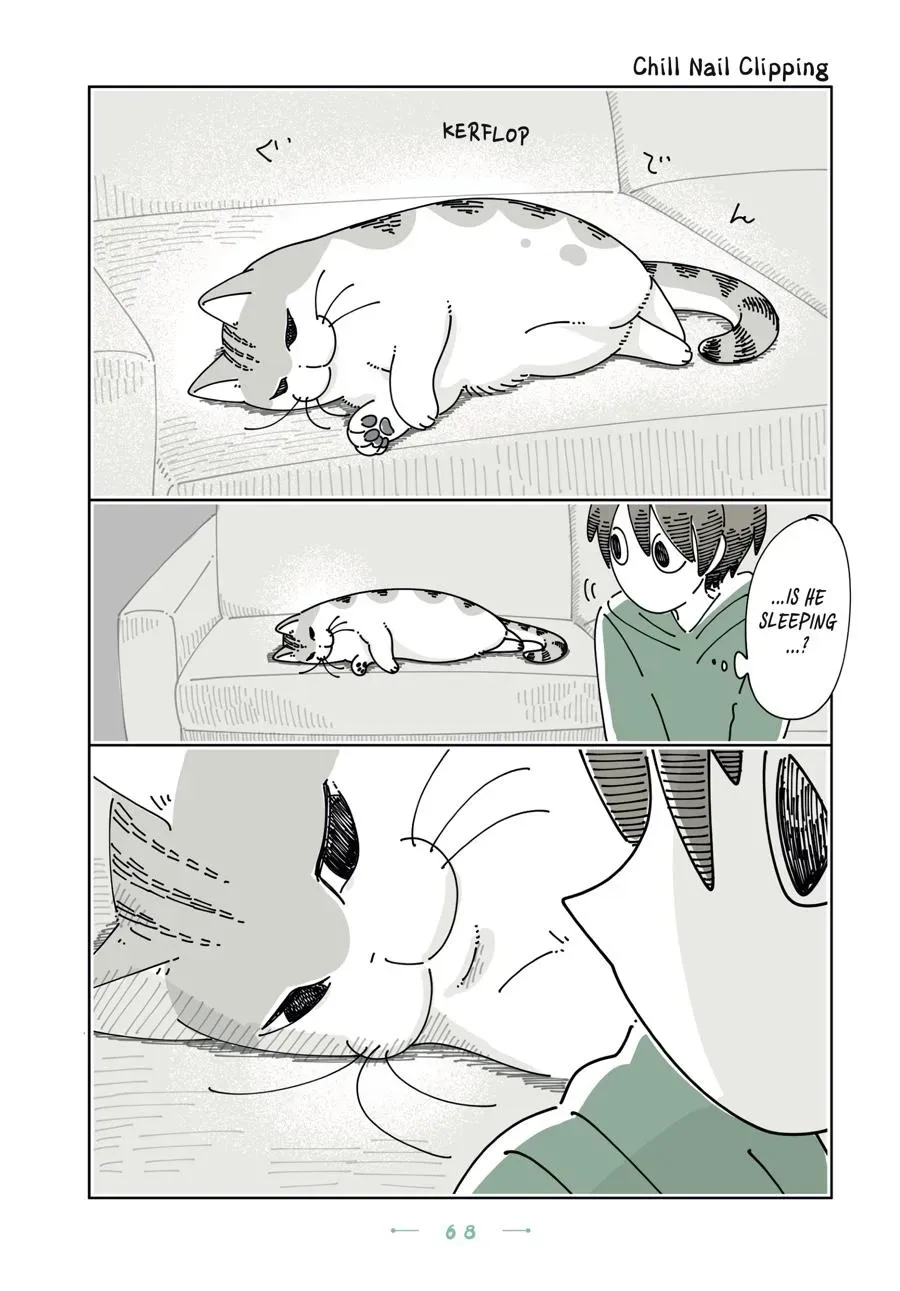 Read Nights With a Cat chapter 0 image 68 on Lezhin