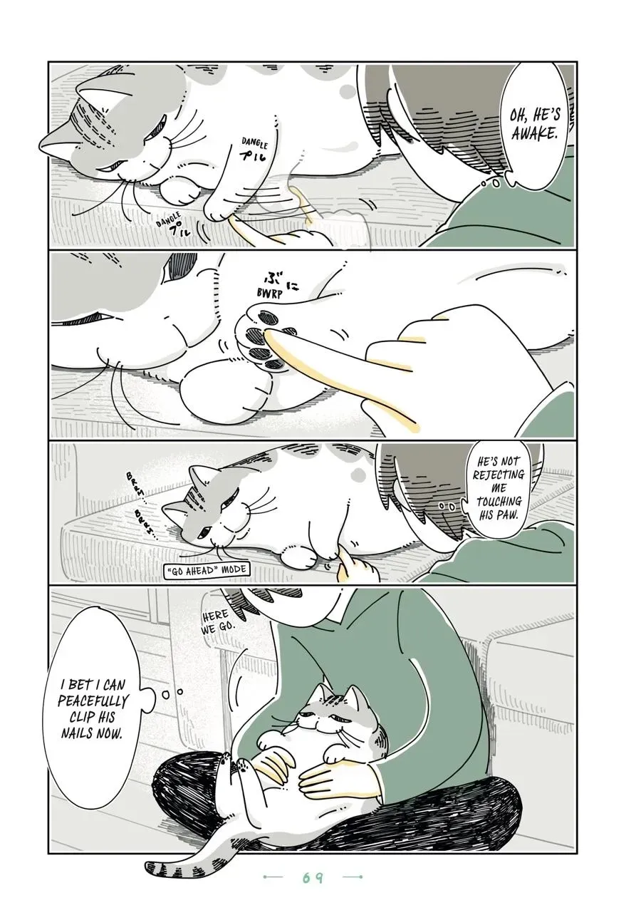 Read Nights With a Cat chapter 0 image 69 on Lezhin